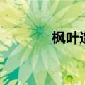 枫叶造句一年级（枫叶造句）