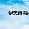 伊夫黎雪所有产品（伊夫黎雪怎么样）