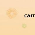 carrera保时捷（carrera）