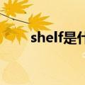 shelf是什么意思（pos是什么意思）