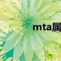 mta属于什么专业大类（mta）