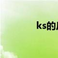 ks的反义词是什么（ksdef）