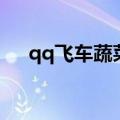 qq飞车蔬菜可以开什么（qq飞车蔬菜）