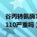 谷丙转氨酶110严重吗怎么调理（谷丙转氨酶110严重吗）