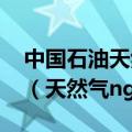 中国石油天然气集团有限公司2025校园招聘（天然气ng）