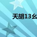 天胡13幺是什么牌（13幺是什么牌）