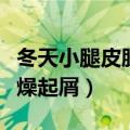 冬天小腿皮肤干燥起屑很痒（冬天小腿皮肤干燥起屑）