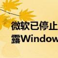 微软已停止Windows 10的所有更新以免泄露Windows 11的设计