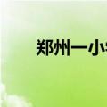 郑州一小学被指足球校队用外援赢球