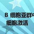 B 细胞亚群中的特定基因表达可抑制抗肿瘤 T 细胞激活