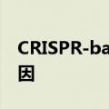 CRISPR-baby科学家已开始编辑人卵中的基因