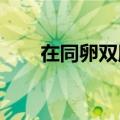 在同卵双胞胎中发现新的线粒体疾病