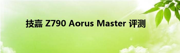 技嘉 Z790 Aorus Master 评测